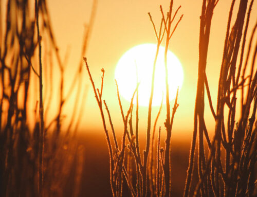 The Sun, UV light and Your eyes